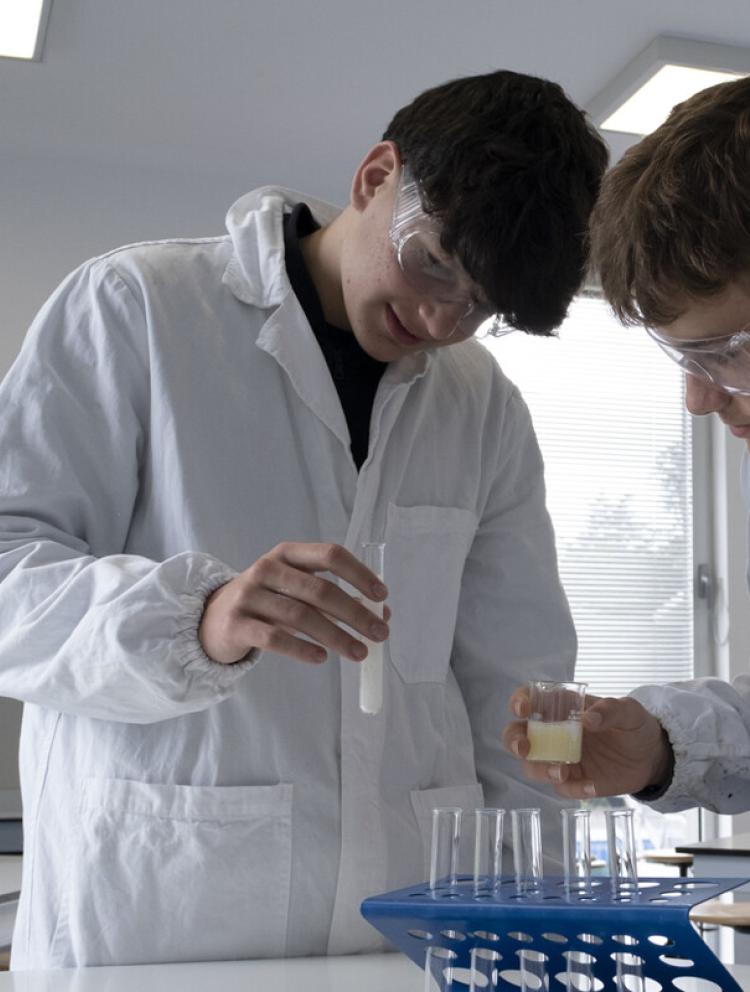 Programma International Baccalaureate alla International School of Bergamo