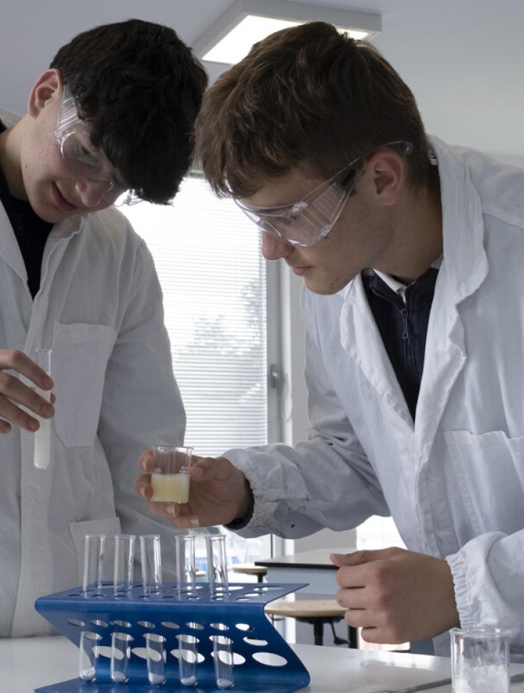 borsa_di_studio_nsouli