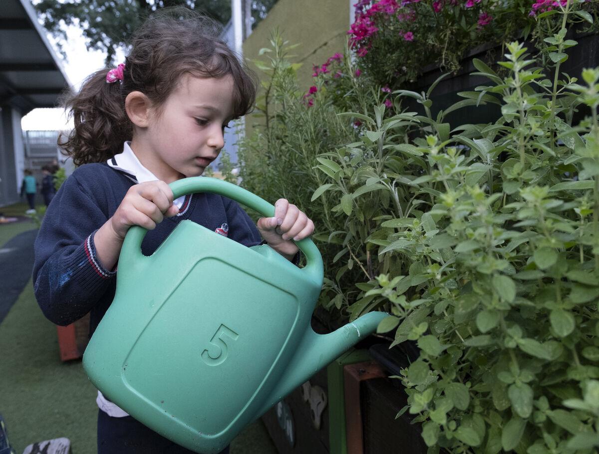 Attività di Servizio e Azione alla International School of Bergamo