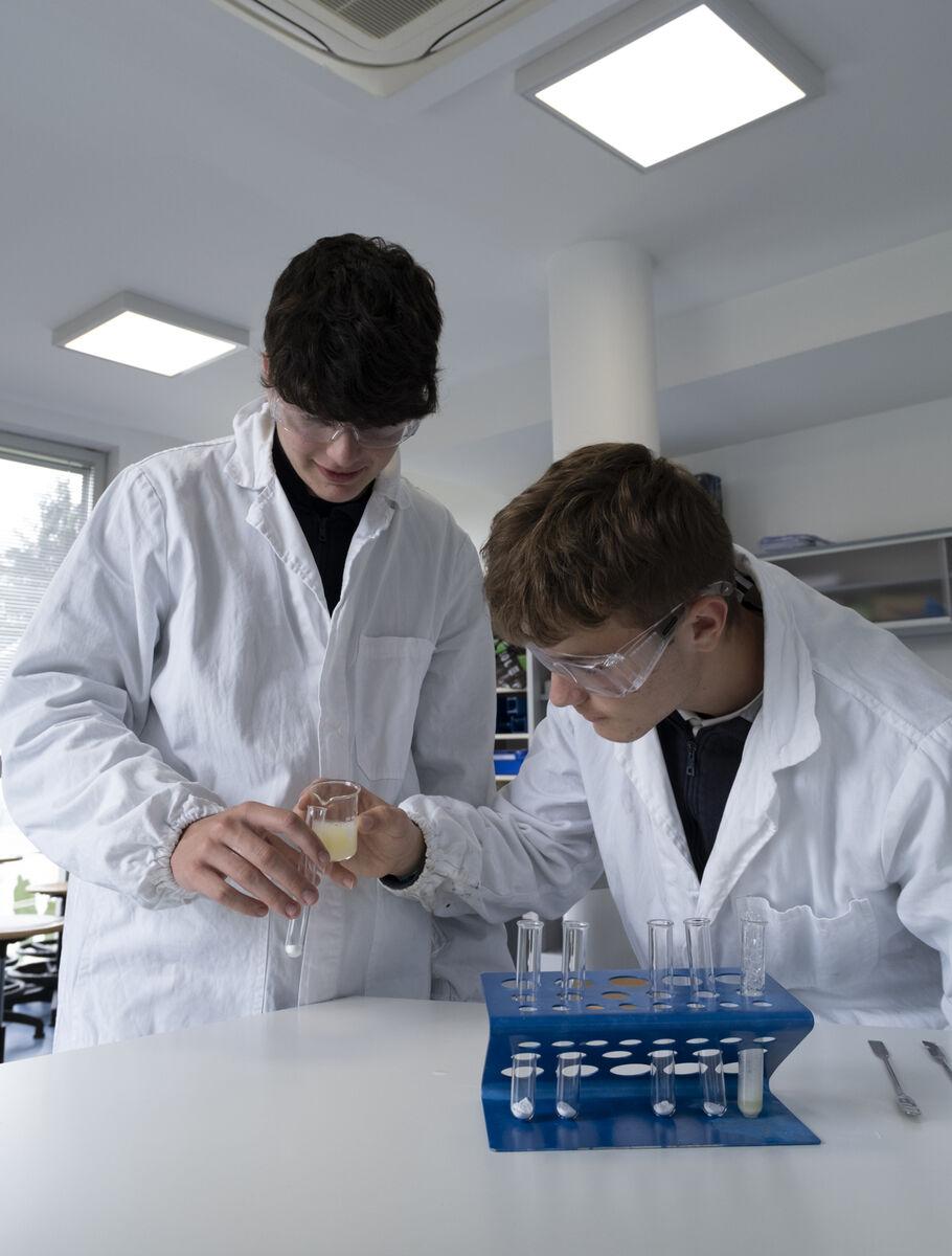 Scuola superiore a Bergamo alla International School of Bergamo